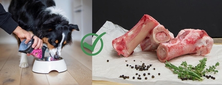 Miért adjunk csontlevest a kutyának? És mi a kapcsolat a húsleves és a kollagén között?