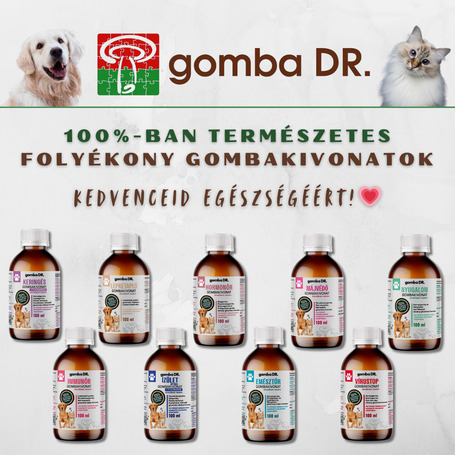 Gomba Dr. NYUGALOM folyékony gombakivonat