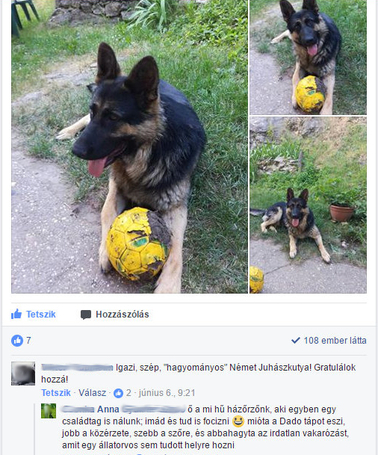 Dado Hypoallergenic Puppy Mini Fish & Rice | Hipoallergén halas táp kistestű kölyökkutyáknak