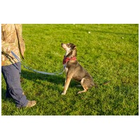 Stacy, 6 éves leányka #15