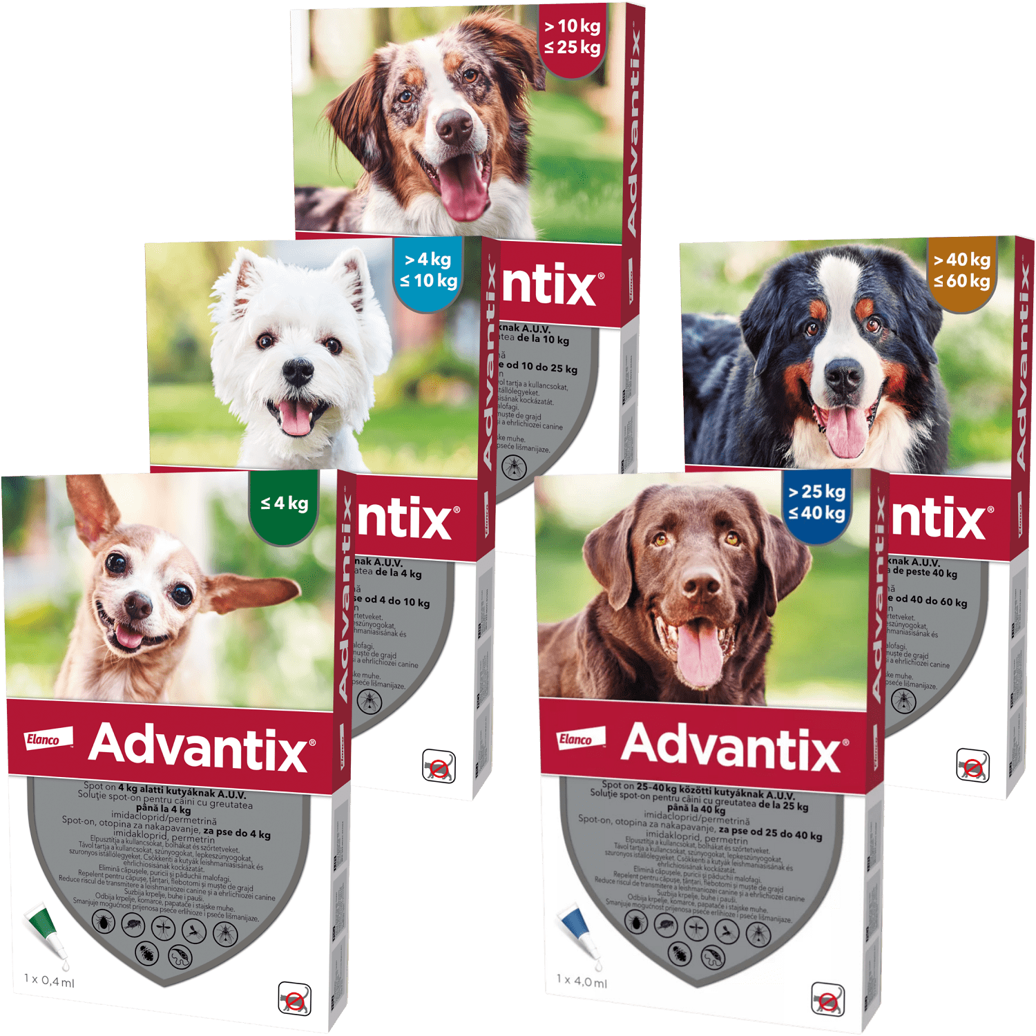 Advantix Spot On kutyáknak
