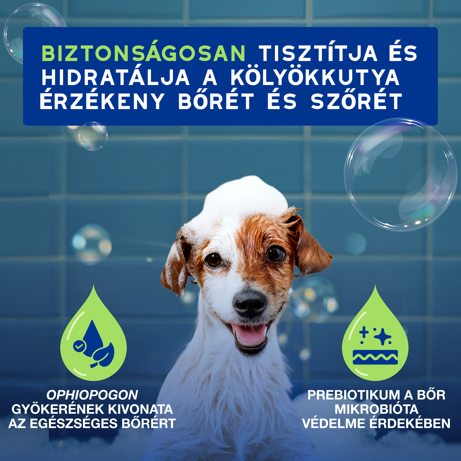 Douxo Spa șampon pentru câţei - zoom