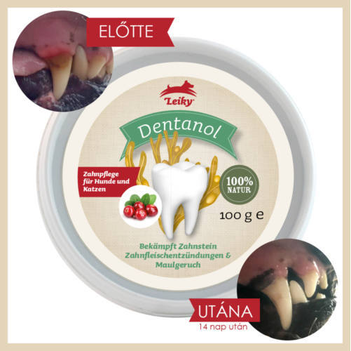 Leiky Dentanol pudră 100% naturală pentru tartru, gingivită și respirație urât mirositoare pentru câini și pisici