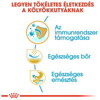 Royal Canin Pug Junior - Mopsz kölyök kutya száraz táp #4