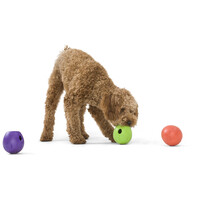 West Paw Rumbl - Jutalomfalattal tölthető labda #10