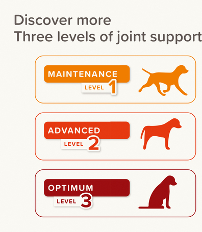 Beaphar Flexifit paszta kutyáknak