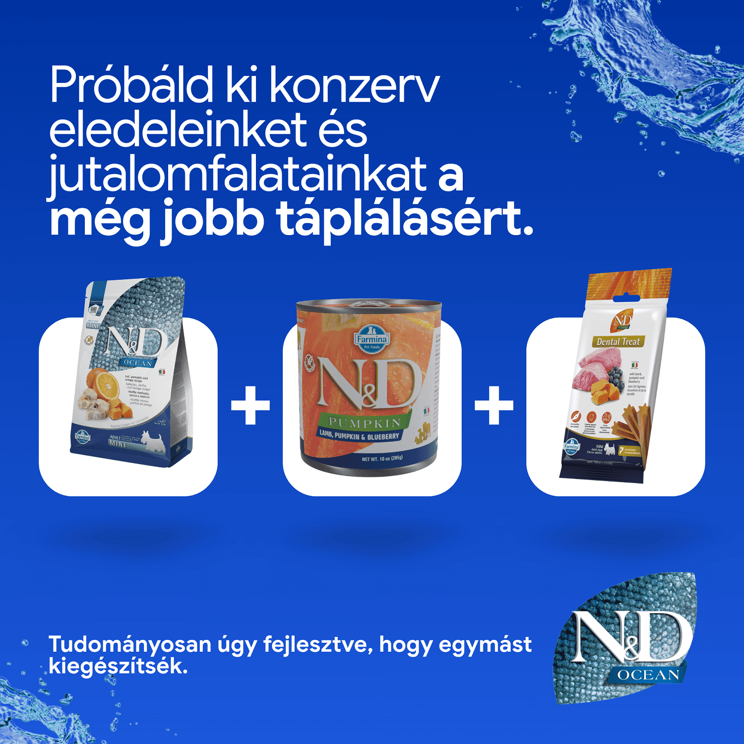 N&D Dog Ocean Adult Mini sütőtök, tőkehal & narancs | Kistestű felnőtt kutyák részére