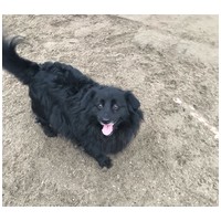 Luke, 6 éves, 40 cm magas, kan #5