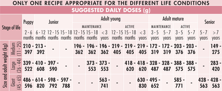 Unica Natura Unico Mono All Breed Pork - Malachúsos szárazeledel közepes- és nagytestű kutyáknak