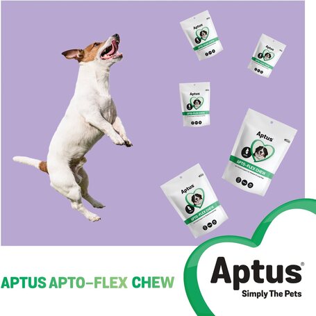 Aptus Apto-Flex Chew Mini glükozamint, MSM-et és kondroitin-t tartalmazó rágótabletta