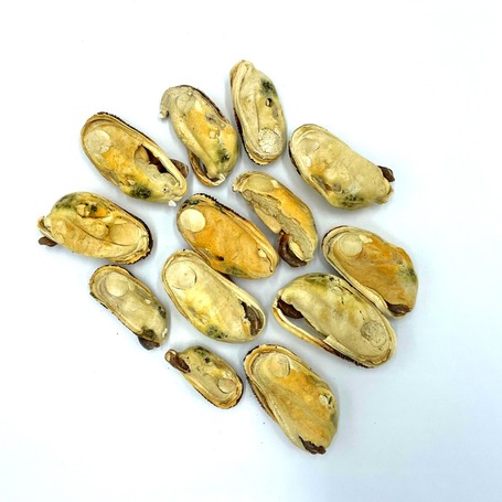 Barf Love új-zélandi zöldkagyló, fagyasztva szárított, jutalomfalat kutyáknak és macskáknak