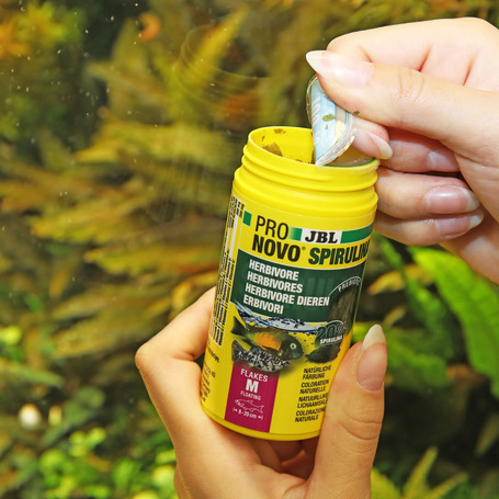 JBL ProNovo Spirulina Flakes M pehelytáp növényevő halaknak