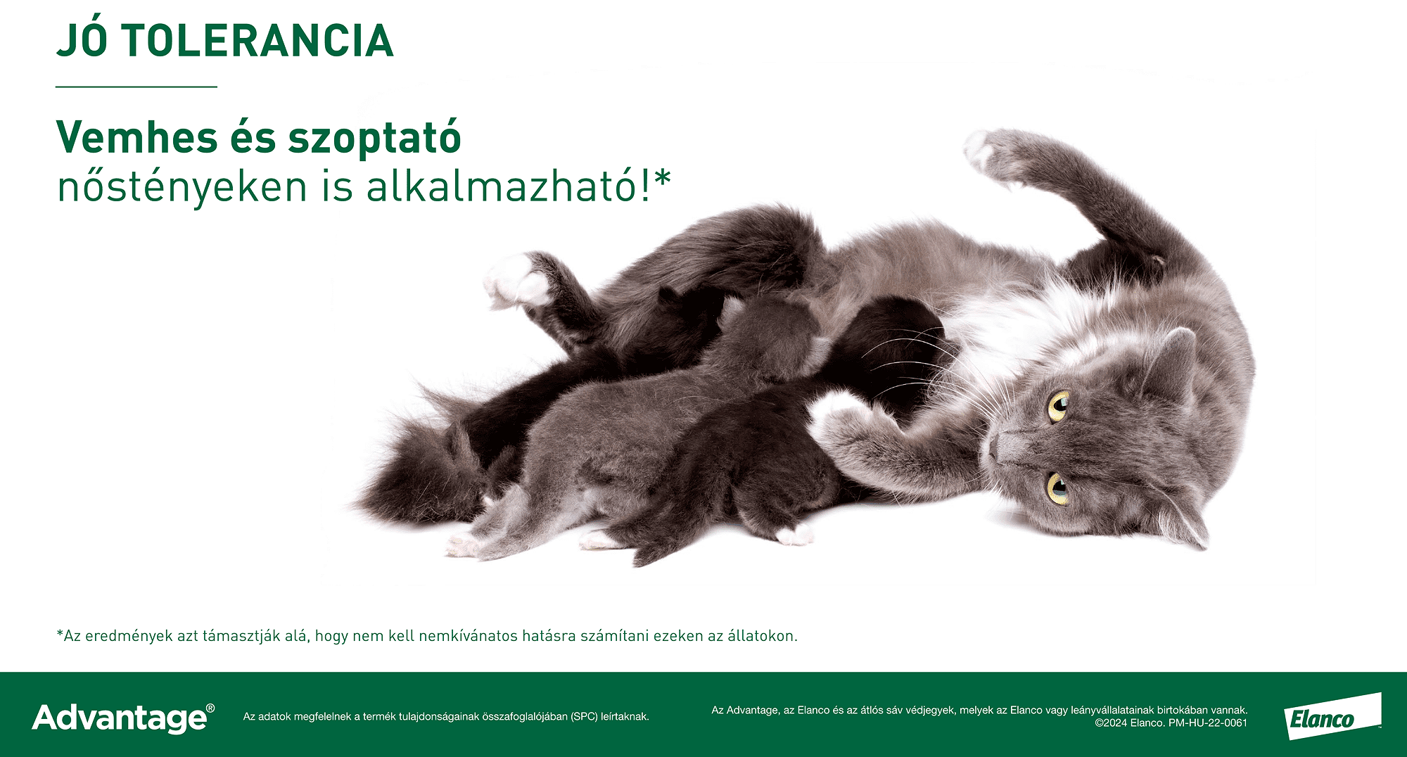 Advantage 80 spot on macskáknak és nyulaknak