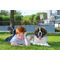 Belcando Junior Maxi | Prémium német táp nagytestű növendék kutyáknak