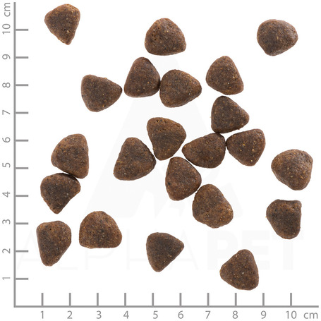 Wolfsblut Wide Plain Adult Horse with Sweet Potatoes