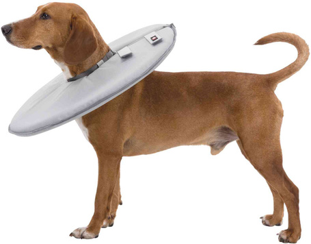 Szivacsos védőgallér kutyáknak