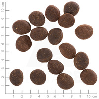 Wolfsblut Polar Night Adult rénszarvas sütőtökkel #5