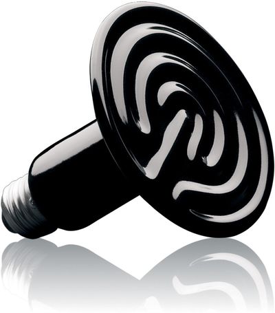 Exo Terra kerámia hősugárzó