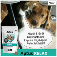 Aptus Relax gyorsan ható nyugtató rágótabletta #5