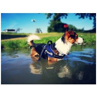 Julius-K9 IDC powAIR légáteresztő kutyahám piros színben #4