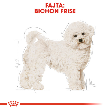 Royal Canin Bichon Frise Adult - Bichon Frise felnőtt kutya száraz táp