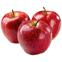 Food Studio zöldség- és bogyósgyümölcs-püré kutyáknak #6