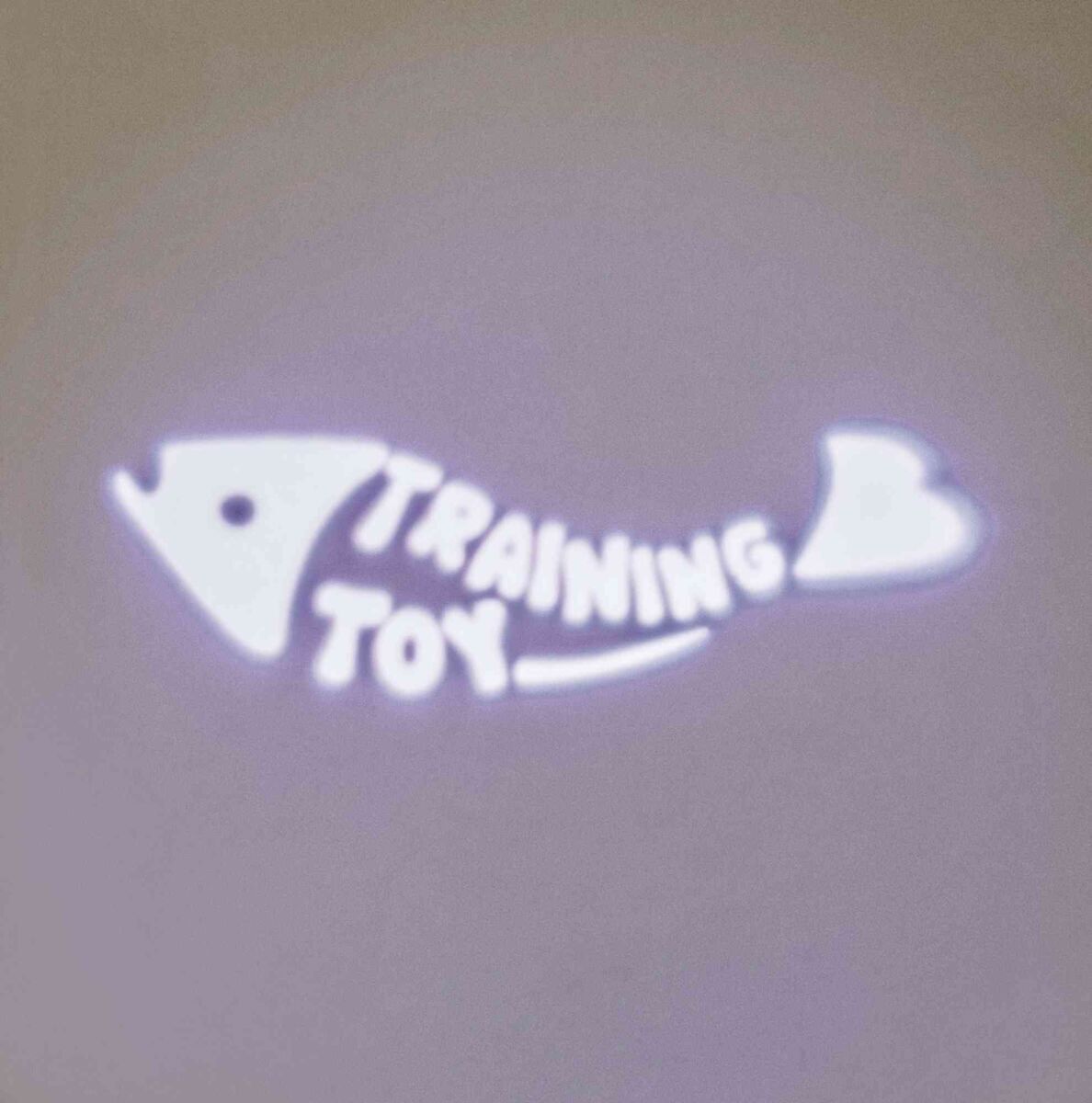 Trixie LED Pointer cu motiv peste pentru pisici - zoom