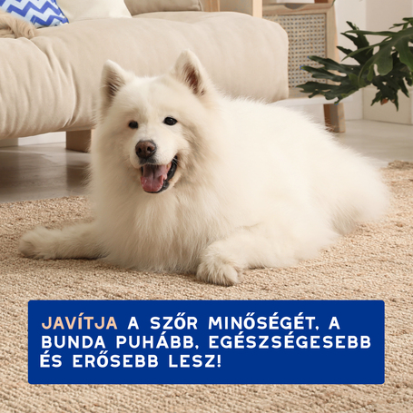 Douxo Spa vedléscsökkentő sampon kutyáknak