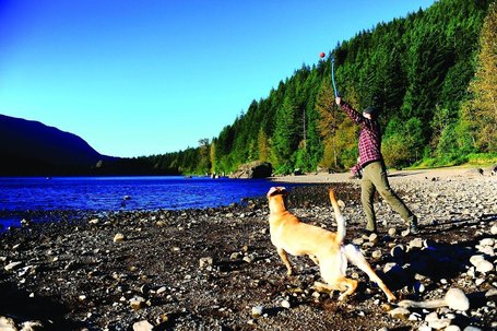 Chuckit! Sport18 labda elhajító katapult labdával