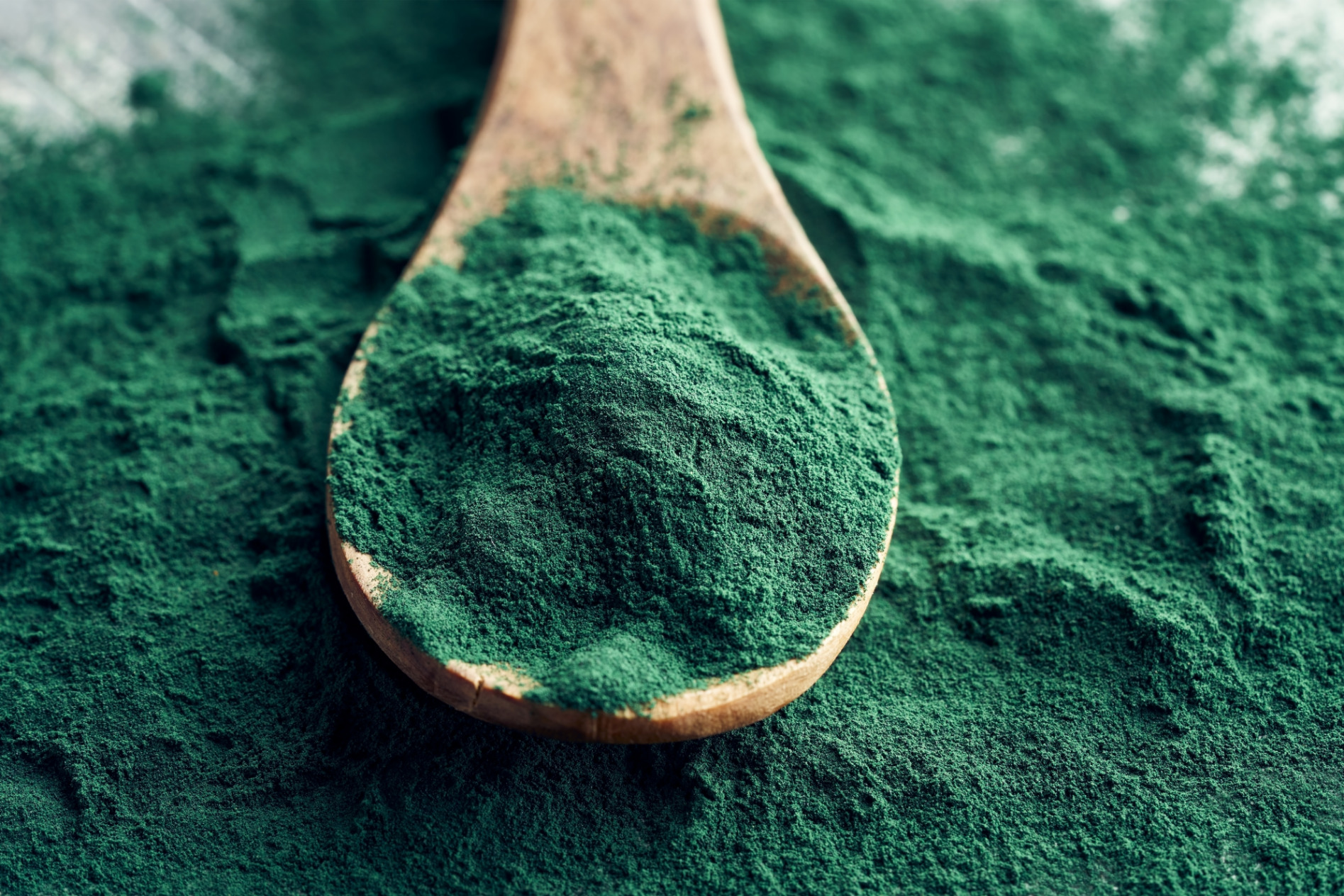 Spirulina alga