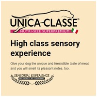 Unica Classe Adult Lamb (Equilibrium) #4