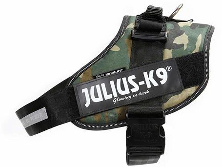 Julius-K9 IDC terepmintás powerhám kutyáknak