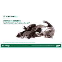 Advantage 80 spot on macskáknak és nyulaknak #4