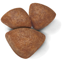 Royal Canin Mini Starter - Száraz táp kistestű vemhes szuka és kölyök kutya részére 2 hónapos korig #7