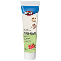 Trixie pasta din malt cu fructe pentru rozătoare