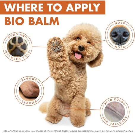 Dermoscent Bio Balm orr- és mancsápoló balzsam kutyáknak