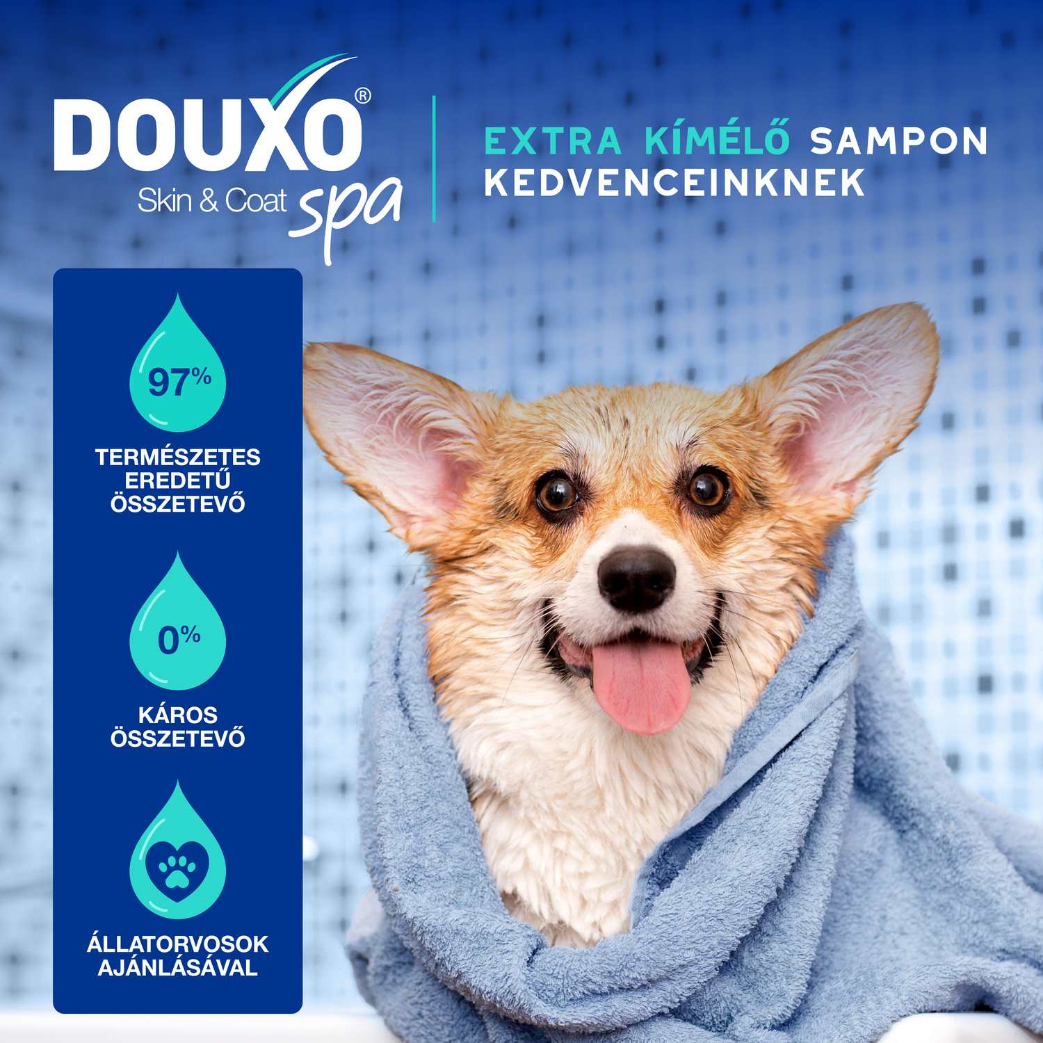 Douxo Spa șampon deodorant pentru câini - zoom