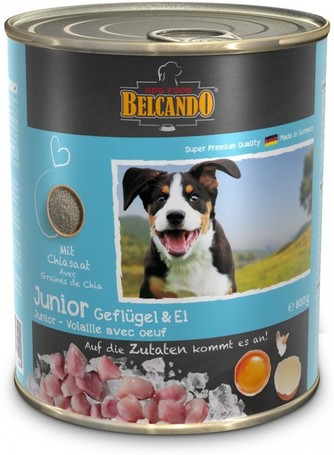 Belcando Junior konzerv baromfihússal és tojással