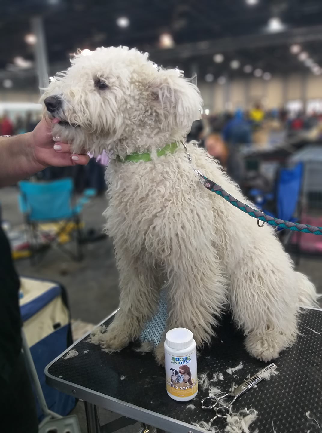 Anibent - șampon uscat 100% natural pentru câini și pisici - zoom