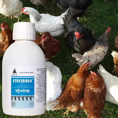 Stresroak stressz elleni, immunerősítő itatófolyadék