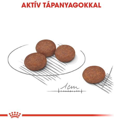 Royal Canin Mini Digestive Care - Száraz táp érzékeny emésztésű, kistestű felnőtt kutyák részére