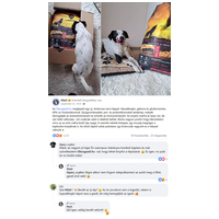 Ambrosia Dog Grain Free Senior, Light & Sterilized #19