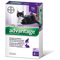 Advantage 80 spot on macskáknak és nyulaknak #2