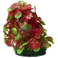 Akváriumi műnövény zöld és piros vesealakú levelekkel kicsi zöld levelekkel a talpán