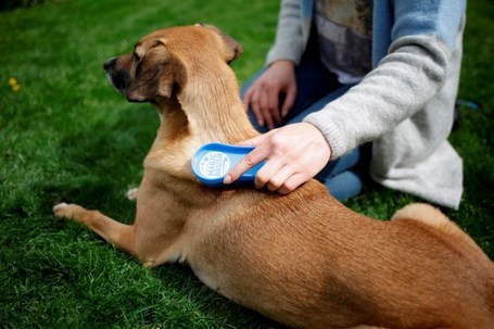 MagicBrush kutyakefék