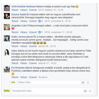 Dado Hypoallergenic Puppy Mini Fish & Rice | Hipoallergén halas táp kistestű kölyökkutyáknak #20