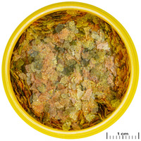 JBL ProNovo Bel Flakes S lemezes alapeleség #2