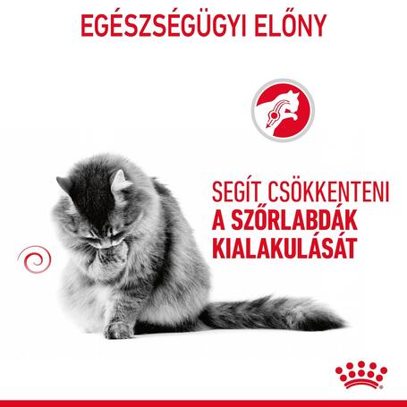 Royal Canin Hairball Care - Szószos nedves táp felnőtt macskák részére a szőrlabdák könnyebb eltávozásáért