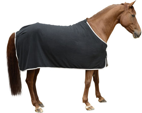 Covalliero RugBe Economic polár lótakaró