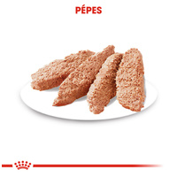 Royal Canin Digestive Care - Nedves táp érzékeny emésztésű felnőtt kutyák részére #3